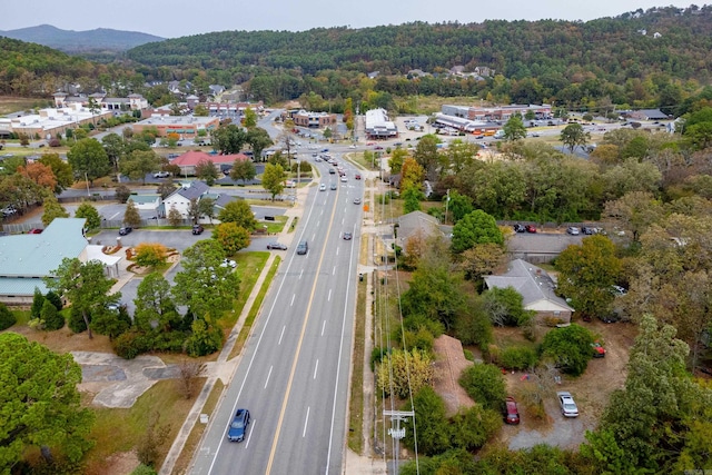 bird's eye view