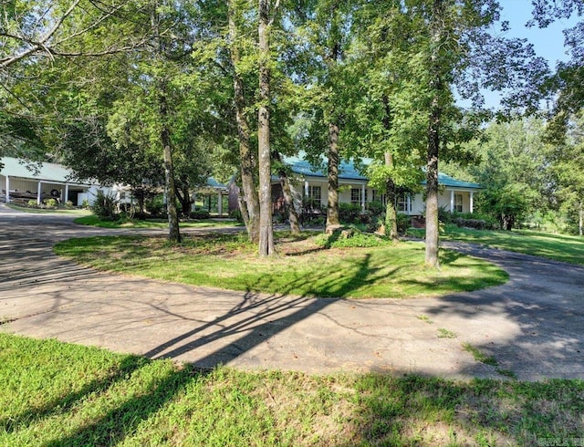 ranch-style home with driveway and a front yard