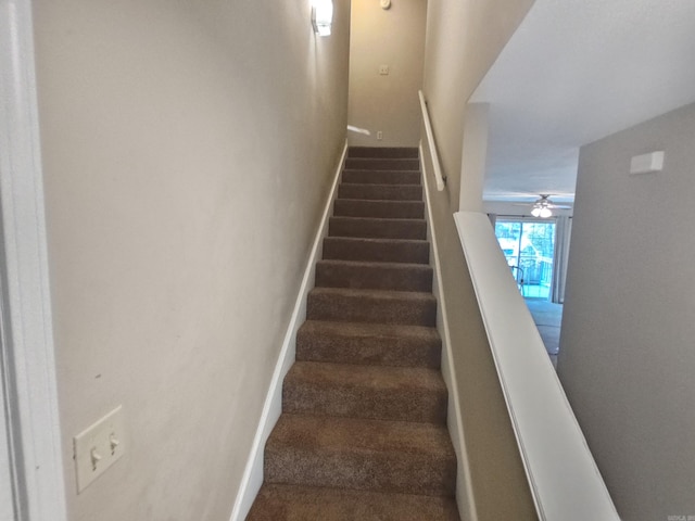 staircase with carpet and ceiling fan