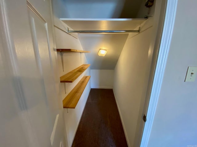 spacious closet with dark carpet