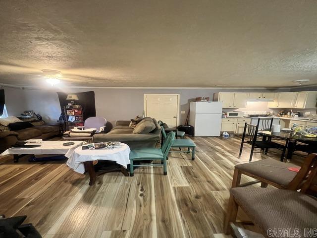 living room featuring a textured ceiling and light hardwood / wood-style floors