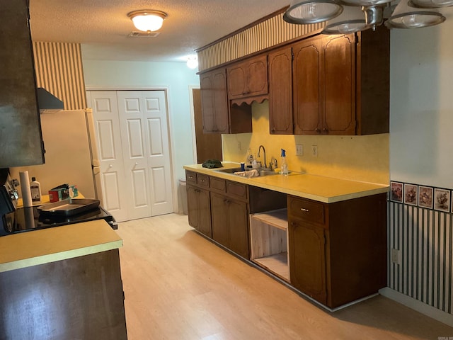 kitchen featuring sink, dark brown cabinets, and light hardwood / wood-style floors