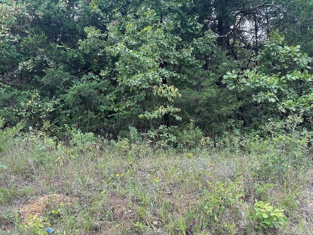 002-06988-001 County Road 137, Henderson, AR 72544