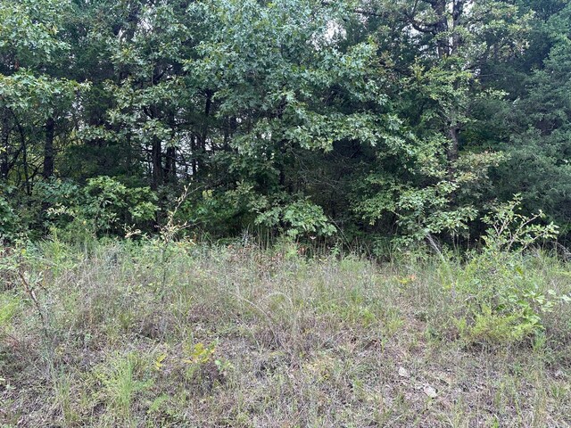 002-06988-001 County Road 137, Henderson, AR 72544