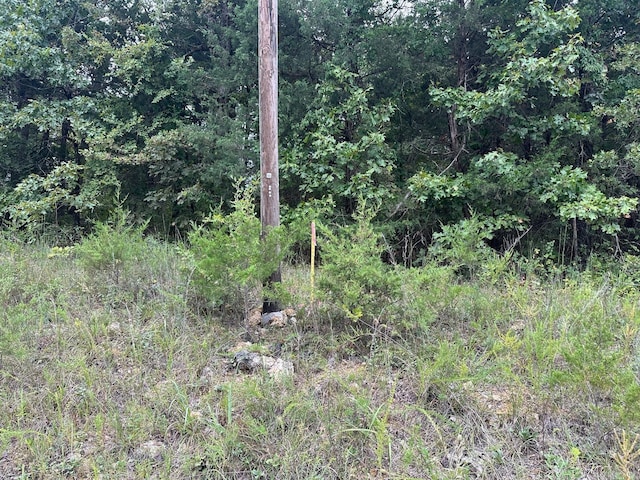 002-06988-001 County Road 137, Henderson, AR 72544