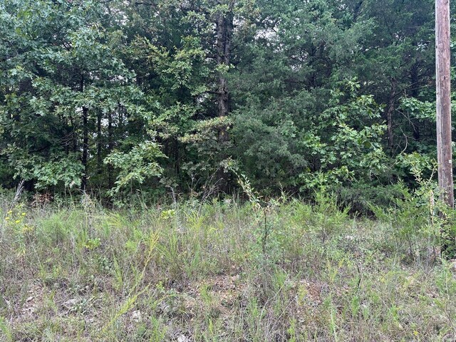 002-06988-001 County Road 137, Henderson, AR 72544