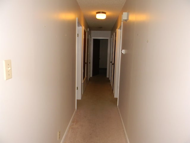 hallway featuring carpet flooring