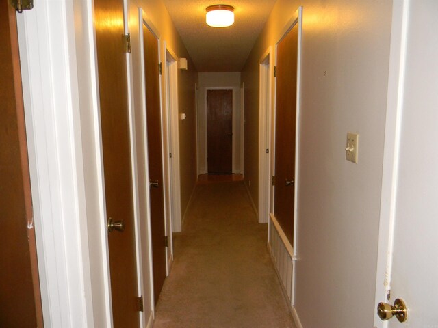 corridor with light carpet