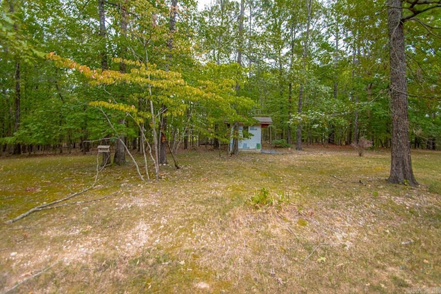 view of yard featuring a storage unit