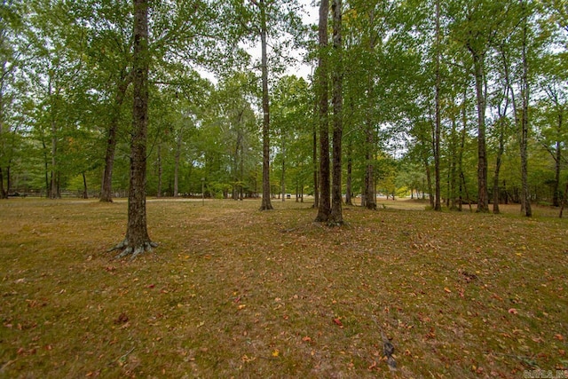 view of landscape