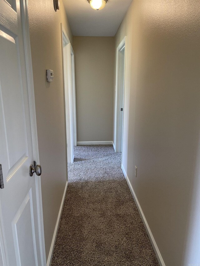 hallway featuring carpet flooring