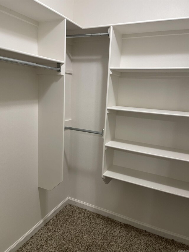 walk in closet featuring carpet