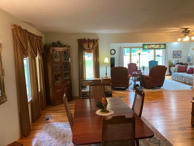 dining space featuring light hardwood / wood-style floors, ceiling fan, and a textured ceiling