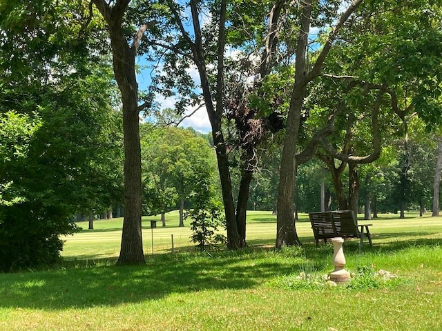 view of home's community with a yard