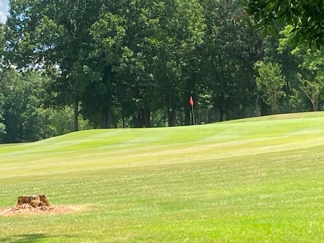 view of community with a lawn