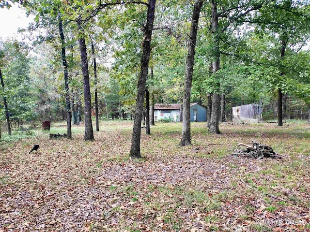 view of yard featuring a storage unit