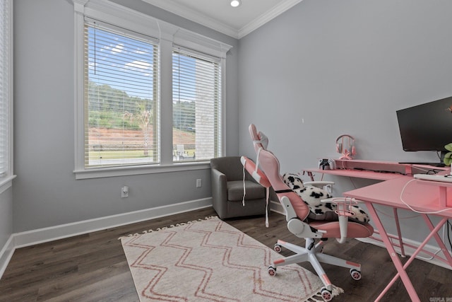 office area featuring dark hardwood / wood-style floors and ornamental molding