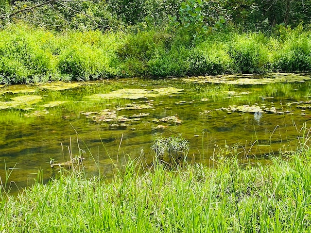 view of local wilderness with a water view