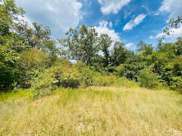 view of local wilderness