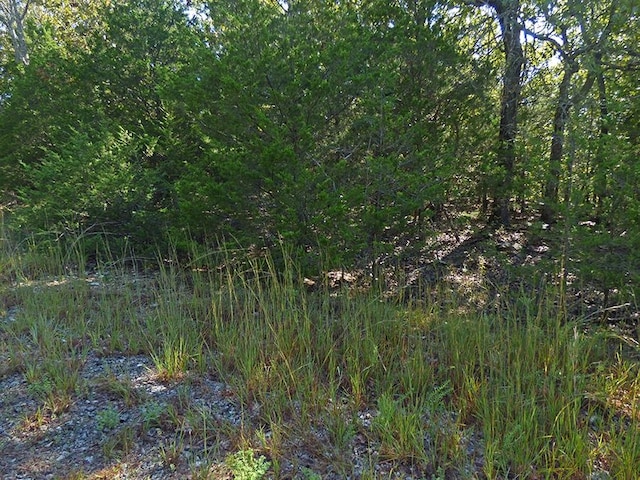 Listing photo 2 for Diamond Cove Ln, Horseshoe Bend AR 72512