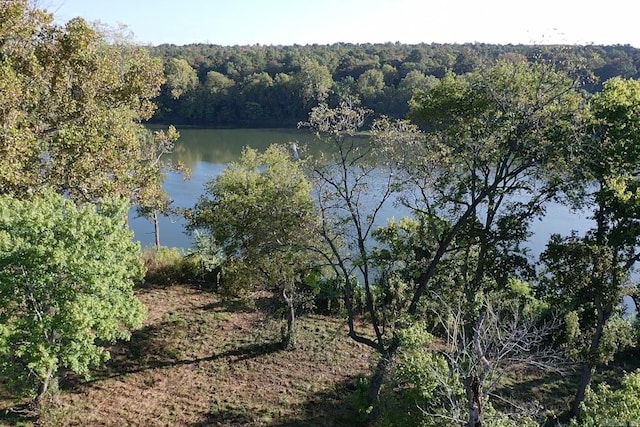 Listing photo 2 for LOT13 Yorktown, Mountain View AR 72560