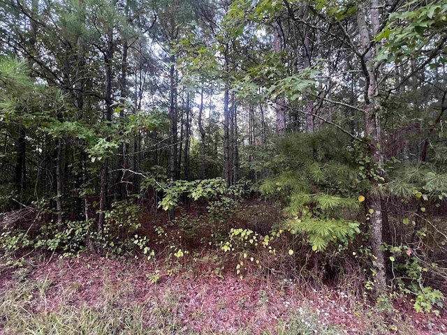 0000 Lanni Ln, White Hall AR, 71602 land for sale