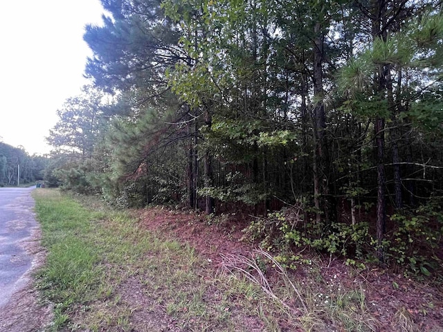 Listing photo 2 for 0000 Lanni Ln, White Hall AR 71602