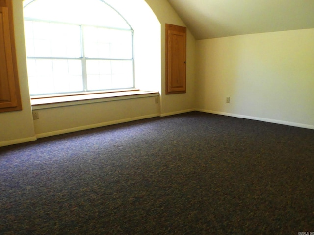 interior space featuring lofted ceiling