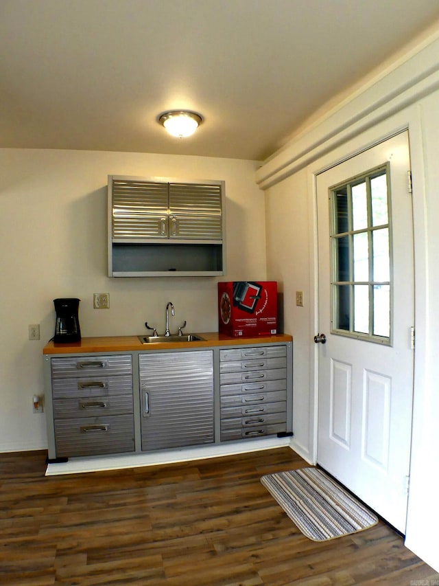 interior space featuring sink and dark hardwood / wood-style flooring