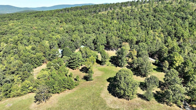 birds eye view of property featuring a mountain view