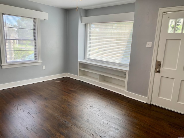 foyer entrance with dark wood-type flooring and a wealth of natural light