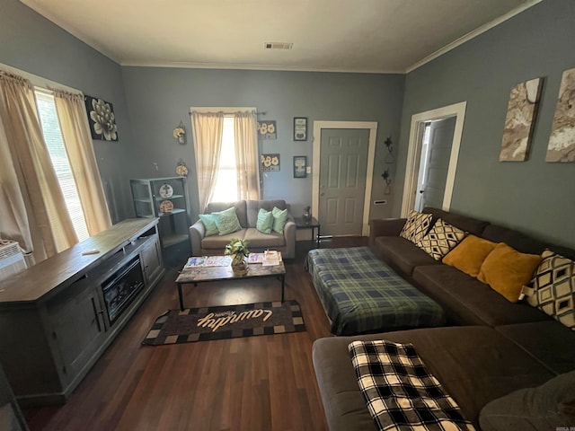 living room with crown molding, dark hardwood / wood-style floors, and a wealth of natural light