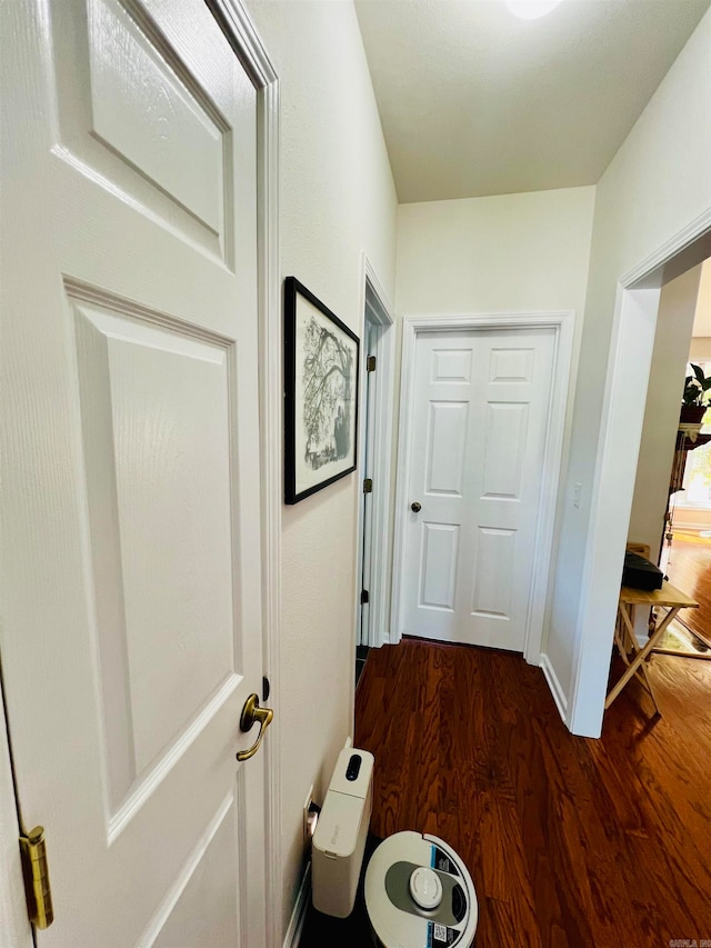 corridor featuring dark wood-type flooring