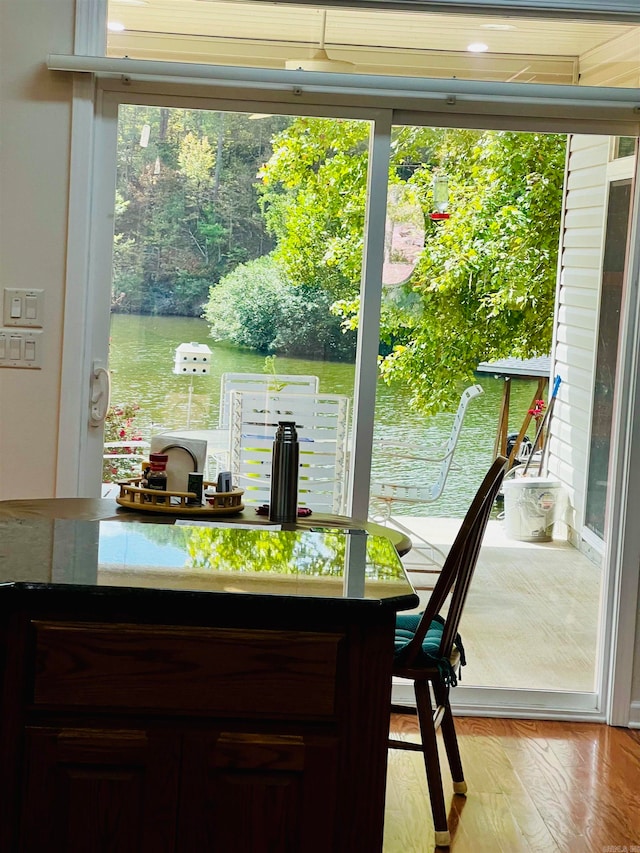 interior space featuring dark brown cabinetry, a water view, and light hardwood / wood-style flooring