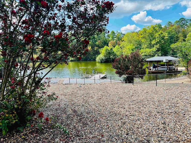 water view featuring a dock