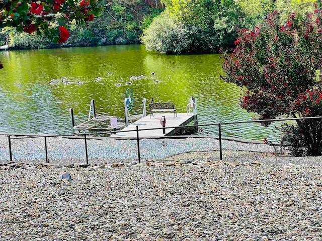 view of dock with a water view