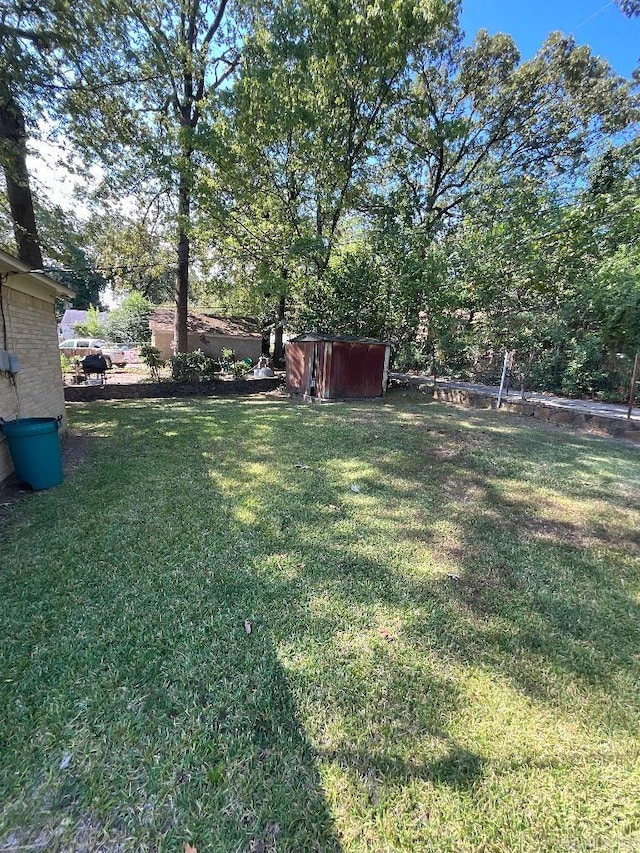 view of yard featuring a storage shed