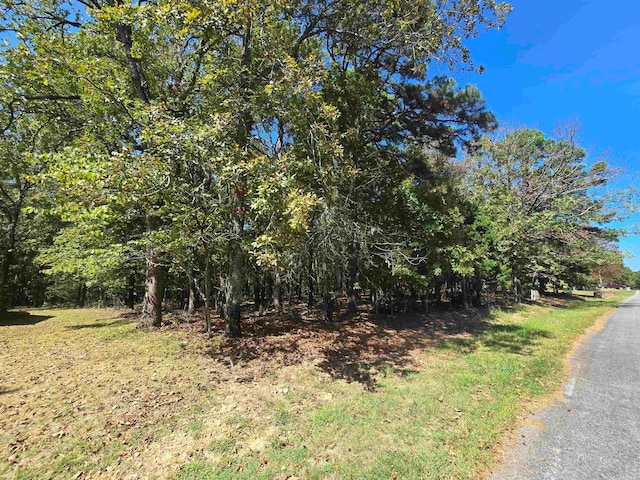 Listing photo 3 for LOT364 Pine Hill Rd, Fairfield Bay AR 72088