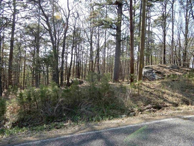 Listing photo 2 for LOT13 Lookout Dr, Fairfield Bay AR 72088