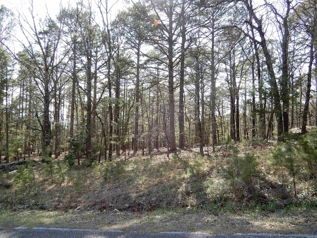 Listing photo 3 for LOT13 Lookout Dr, Fairfield Bay AR 72088