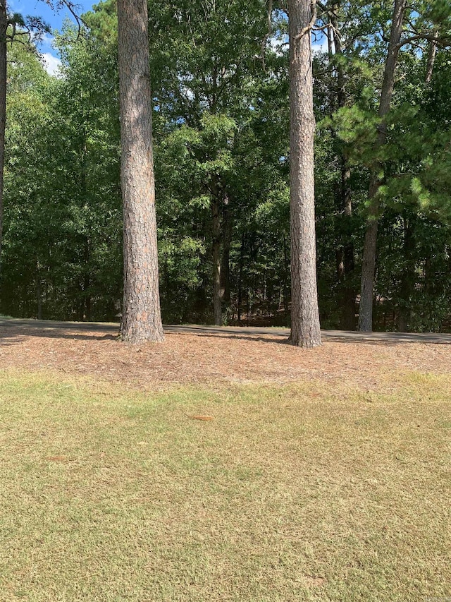 Listing photo 3 for 18 Acceso Cir, Hot Springs Village AR 71909