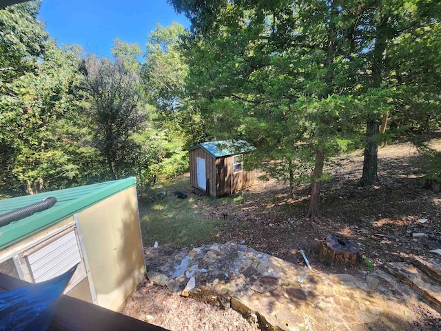 view of yard with a storage shed