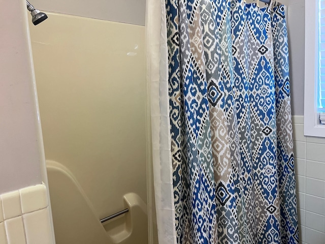 236 N Riverview Ln, Mountain View, AR 72560 - full bathroom with a shower with curtain
