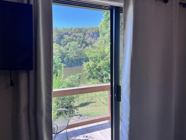 236 N Riverview Ln, Mountain View, AR 72560 - entryway featuring a water view