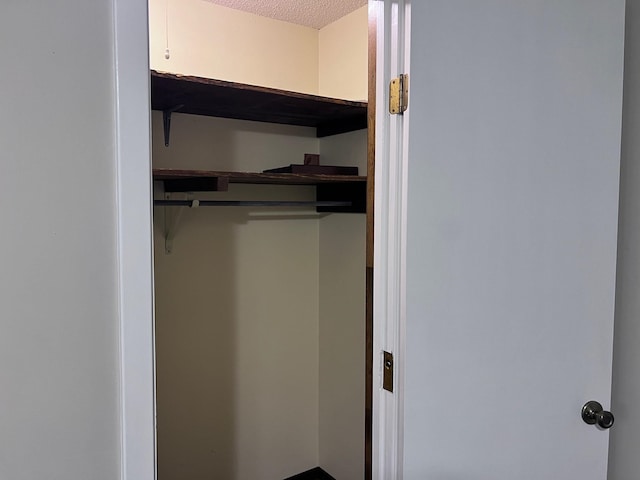 236 N Riverview Ln, Mountain View, AR 72560 - view of closet