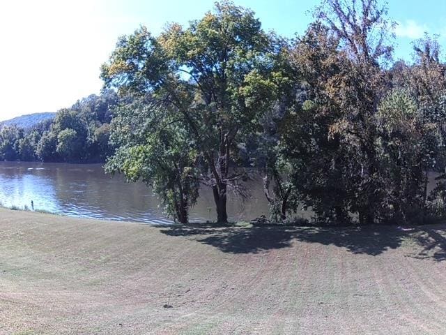 236 N Riverview Ln, Mountain View, AR 72560 - water view featuring a heavily wooded area