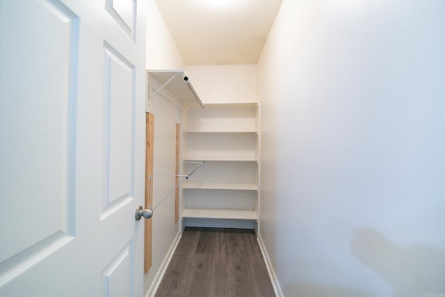 walk in closet with hardwood / wood-style floors