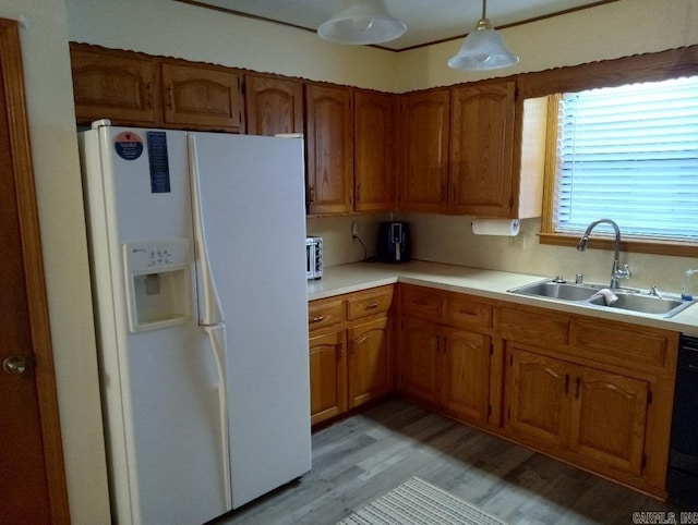 kitchen with light hardwood / wood-style floors, black dishwasher, decorative light fixtures, white fridge with ice dispenser, and sink