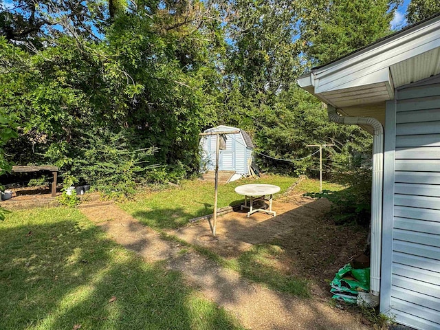 view of yard with a storage shed