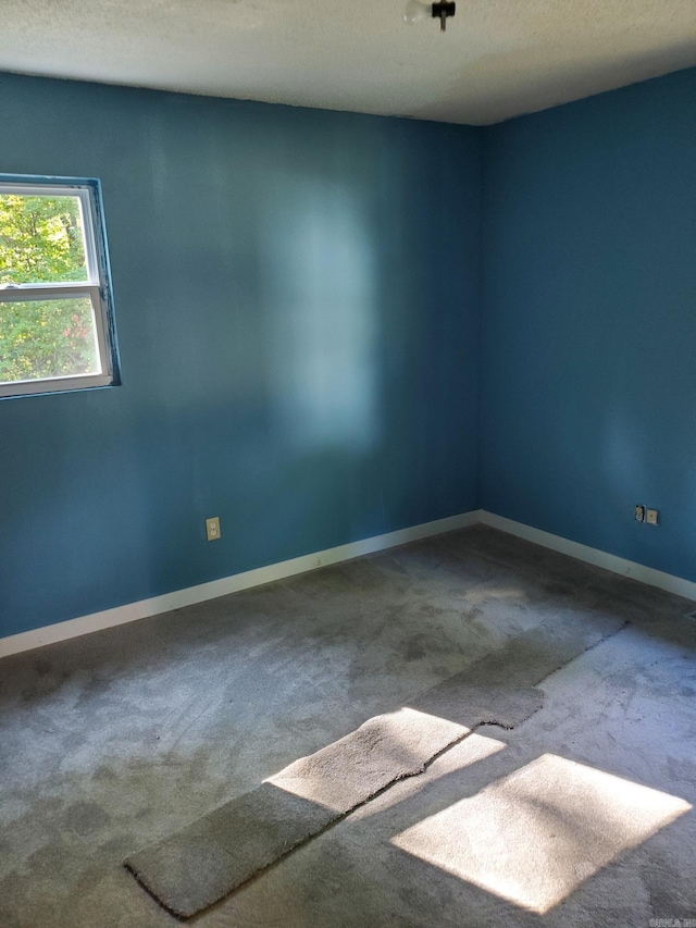 unfurnished room with carpet and a textured ceiling